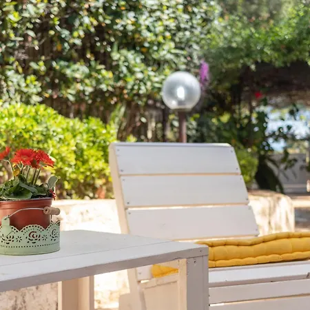 Rosa, Relax Place Conversano