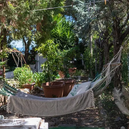 Rosa, Relax Place